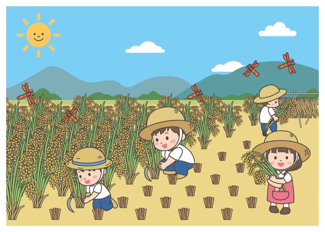 秋の稲刈り体験を楽しむこどもたちのイラスト 季節,お米,収穫,農作業フリー素材,商用利用,ダウンロード